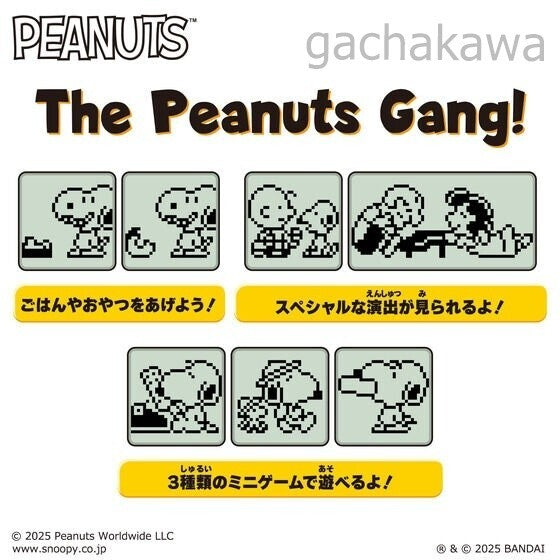 7486937