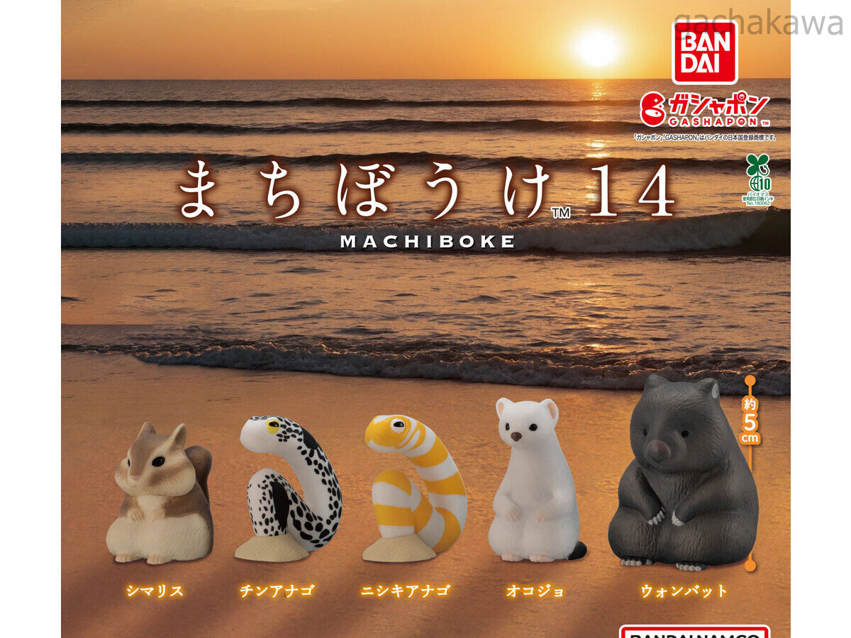 PSL Machiboke 14 Capsule Toy Complete 5 Types set Gacha Gashapon