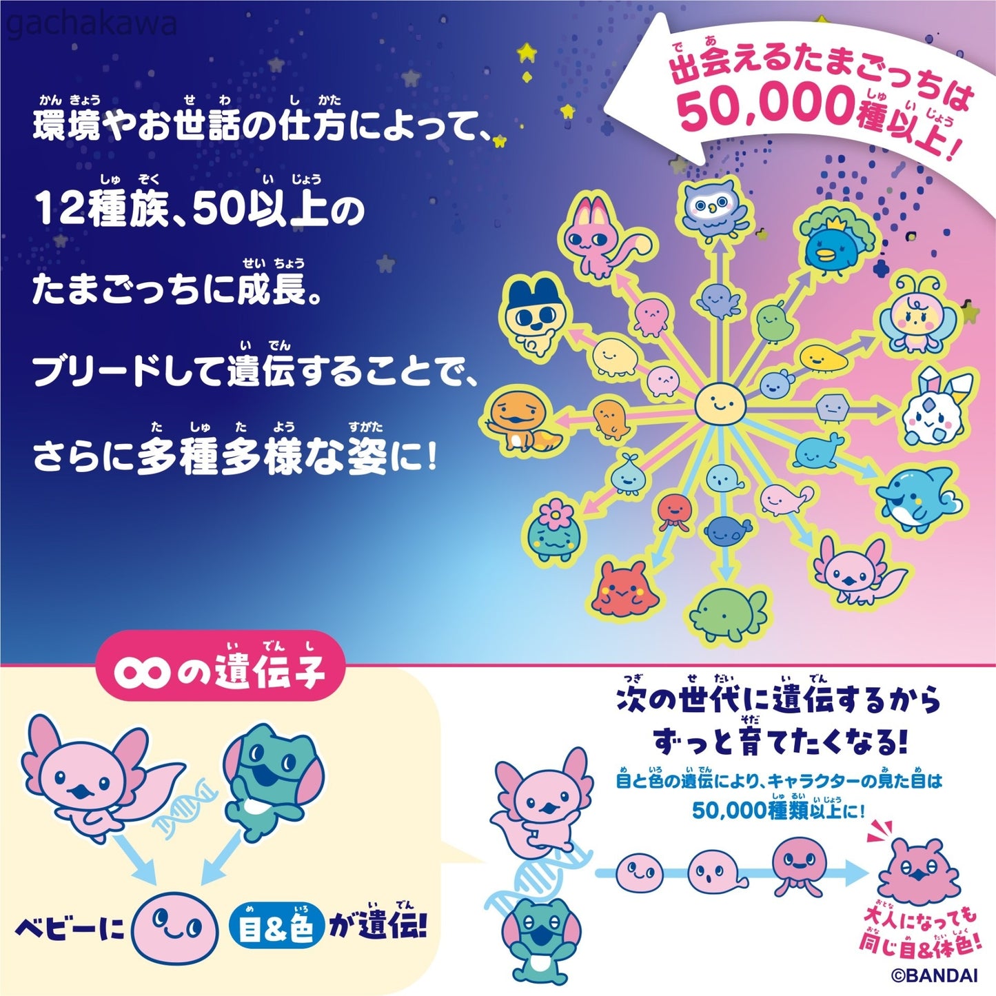 PSL Tamagotchi Paradise Jade Forest Purple Sky Shinako & Takeshita Paradise Set