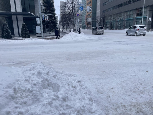 Japan Snow Season 2026: Does It Snow in Nagoya in January? Delivery Delays Due to Heavy Snow