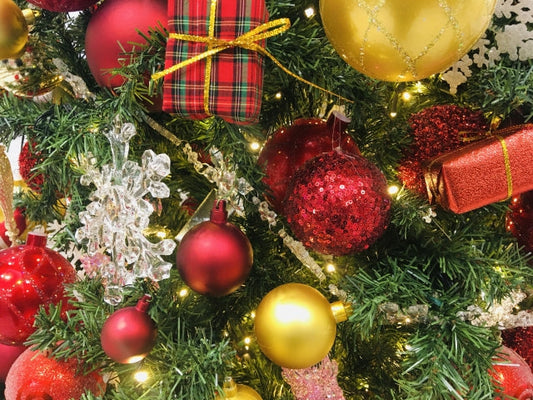 Japan Post Delays 2025 Christmas Holiday Shipping Issues, Slow Tracking Updates, and USPS Impact – NEWS