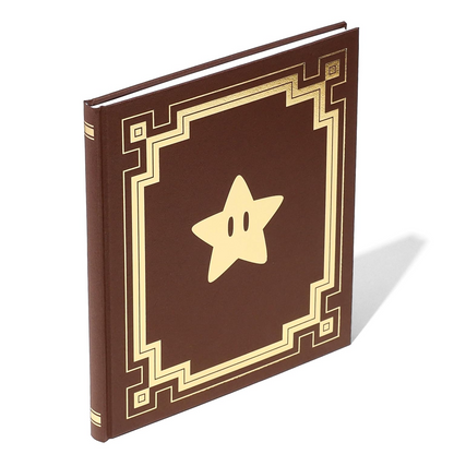 Super Mario Galaxy Rosalina's Picture Book Nintendo Japanese