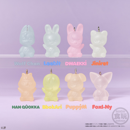 PSL SKZOO Gummy & Charm Gummy & Charm Keychain Figure Complete Set JAPAN