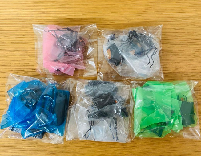 Bandai Capsule Toy The Great Encyclopedia of Living Creatures Stag Beetles 11