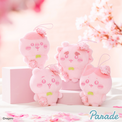 Chiikawa Palette Sakura Plush doll Mascot set of 4 type cherry blossoms