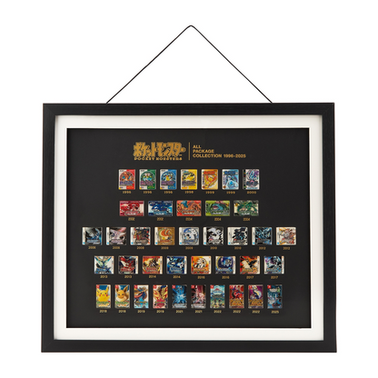 Pokemon Pin Badge All Package Collection 1996-2025 Framed Art Japan Official
