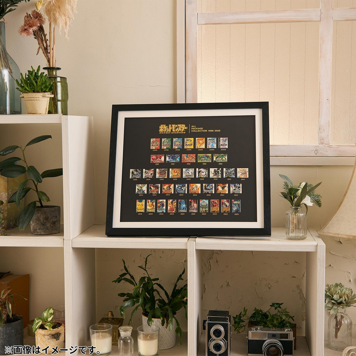 Pokemon Pin Badge All Package Collection 1996-2025 Framed Art Japan Official