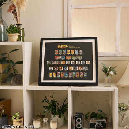 Pokemon Pin Badge All Package Collection 1996-2025 Framed Art Japan Official