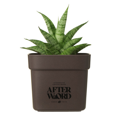 Starbucks JAPAN 2026 Afterword Recycled Coffee Grounds Planter Cover