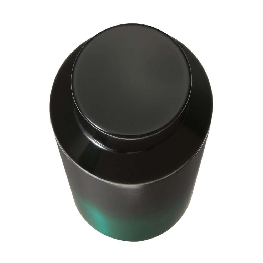 Starbucks Japan Gold Member Exclusive 2026 Stainless Steel Bottle Green Gradient 591ml