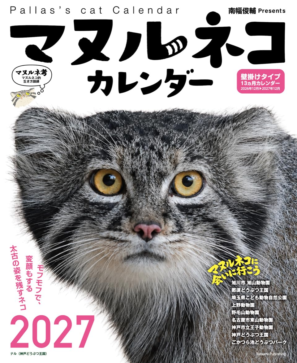 Pallas Cat Calendar 2027 Cute Animal Photography Japanese Wall Calendar New