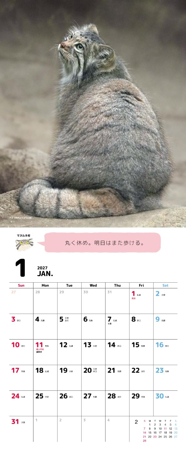 Pallas Cat Calendar 2027 Cute Animal Photography Japanese Wall Calendar New