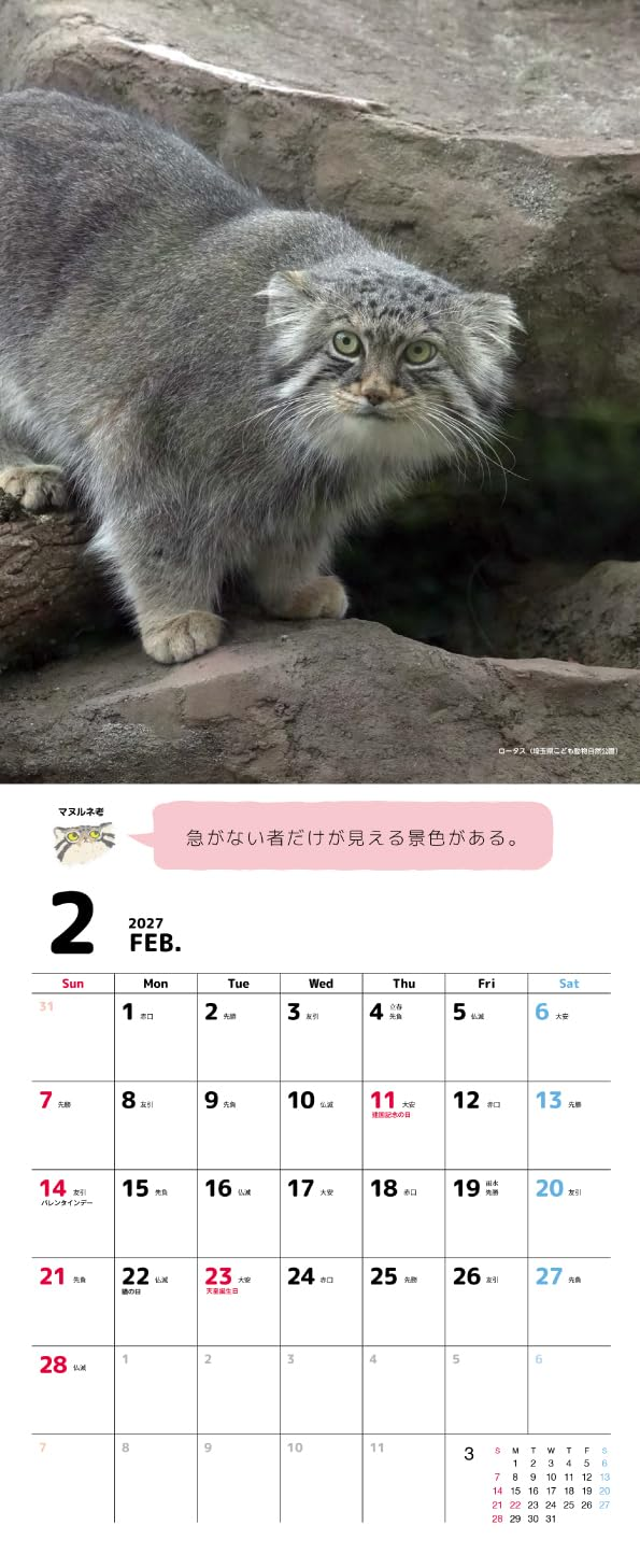Pallas Cat Calendar 2027 Cute Animal Photography Japanese Wall Calendar New